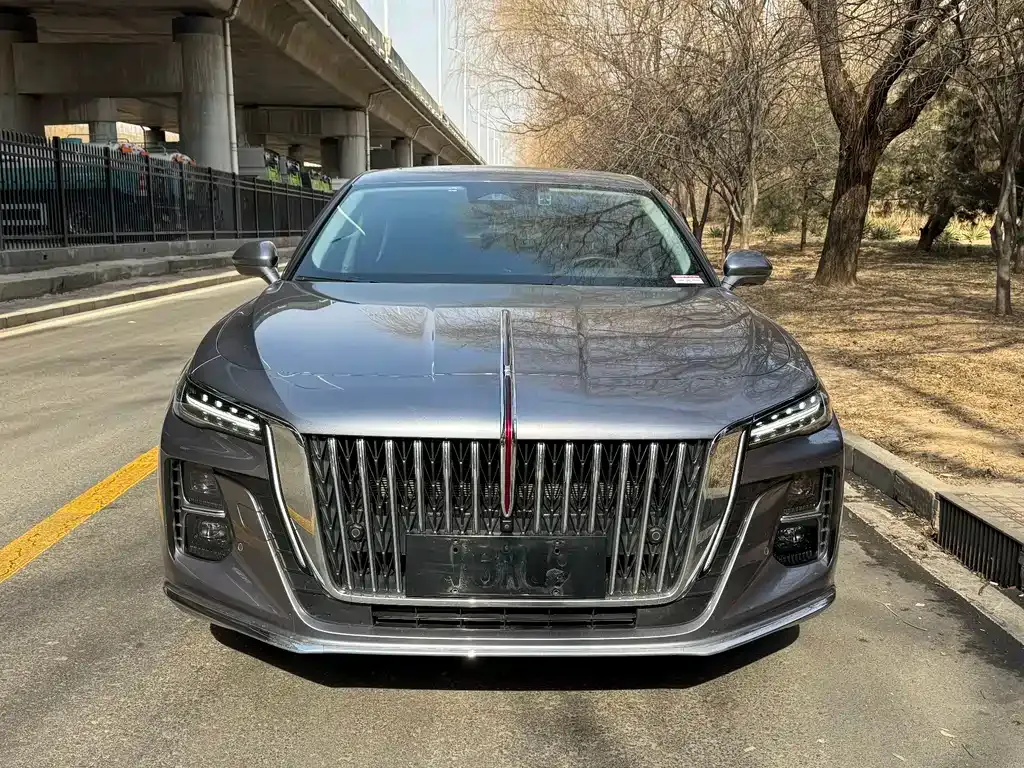 Hongqi H5 — фото 10