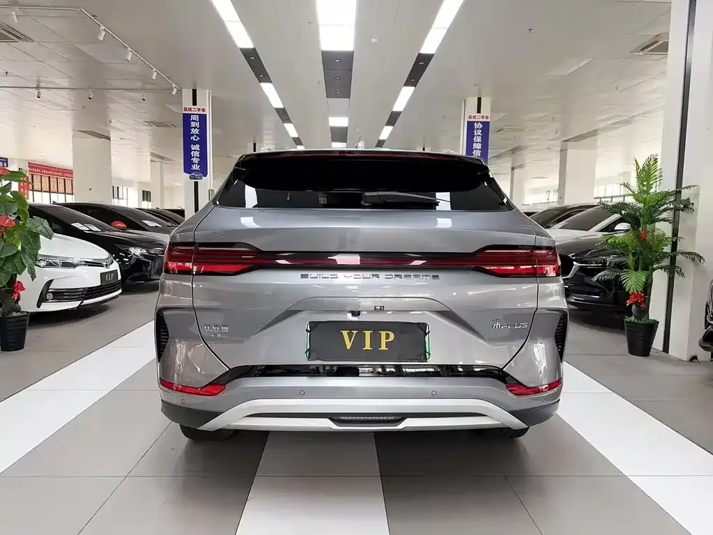 BYD PLUS New Energy — фото 7