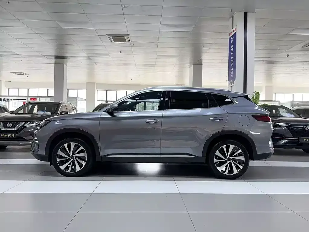 BYD PLUS New Energy — фото 8