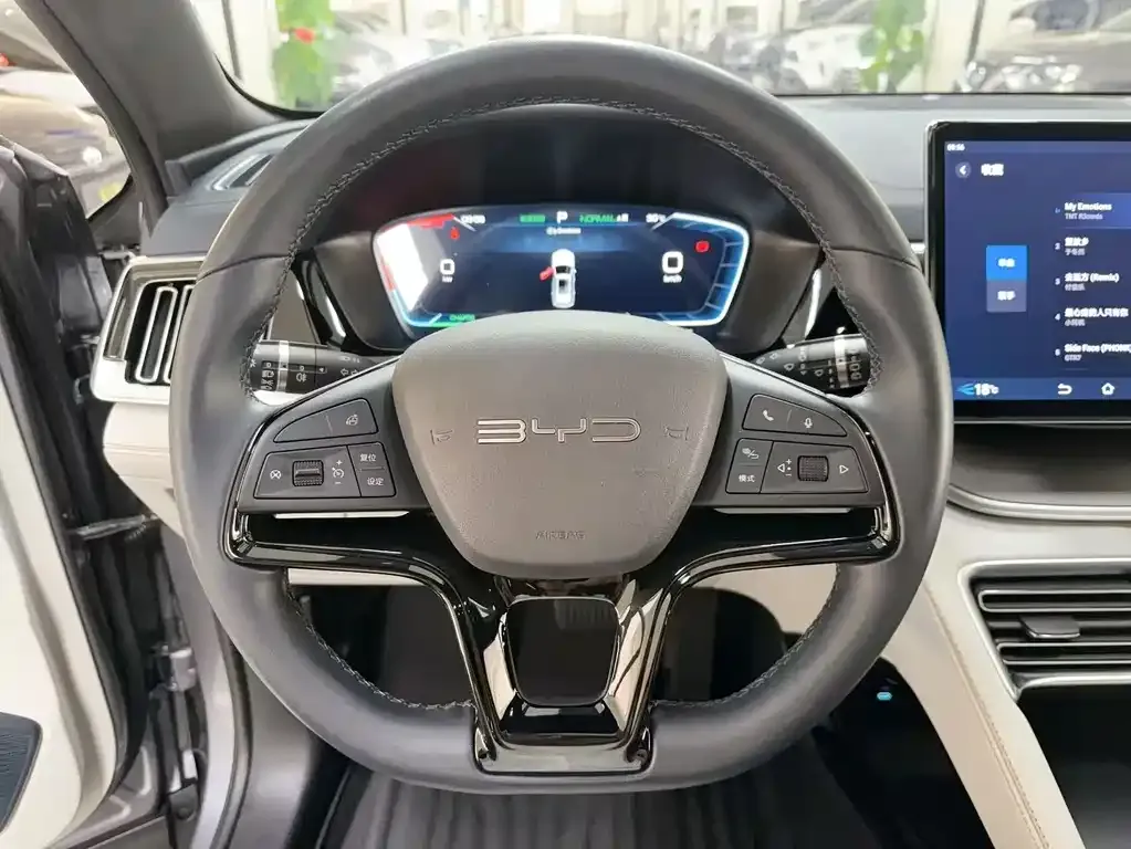 BYD PLUS New Energy — фото 5