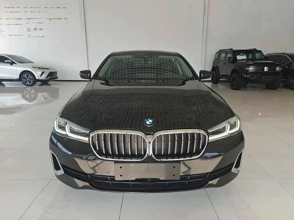 BMW 5 Series New Energy — фото 9