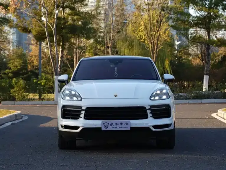 Porsche Cayenne — фото 6