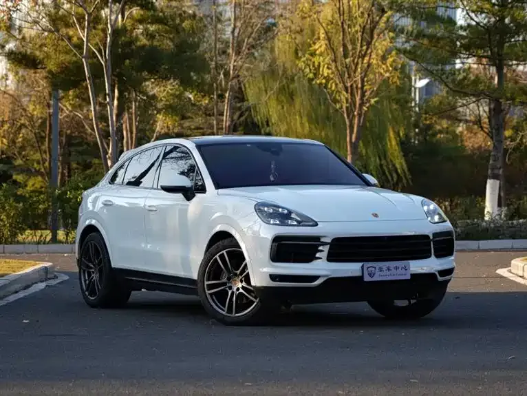 Porsche Cayenne — фото 9