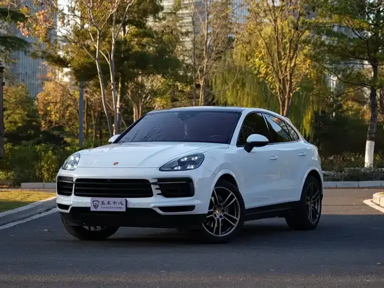 Porsche Cayenne — фото 10