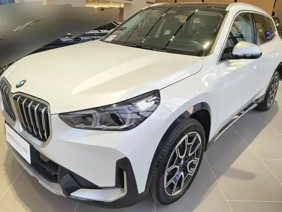 BMW X1 — фото 1