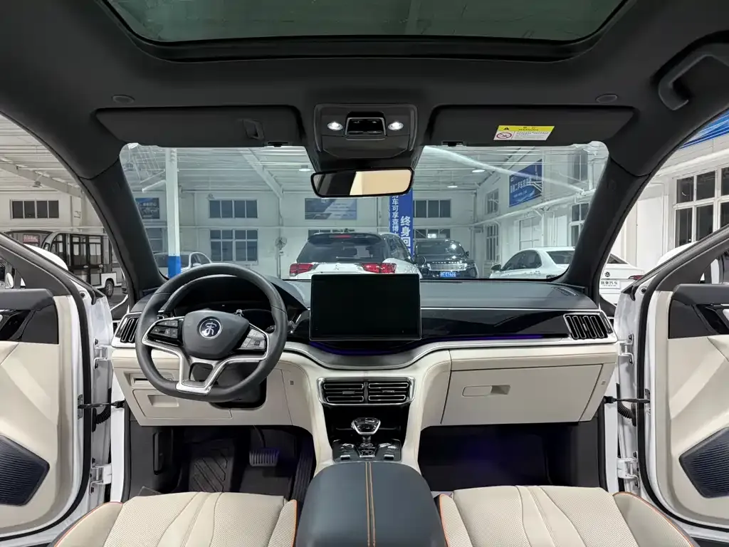 BYD PLUS New Energy — фото 3