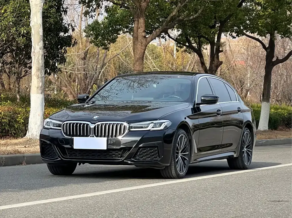 BMW 5 Series — фото 1
