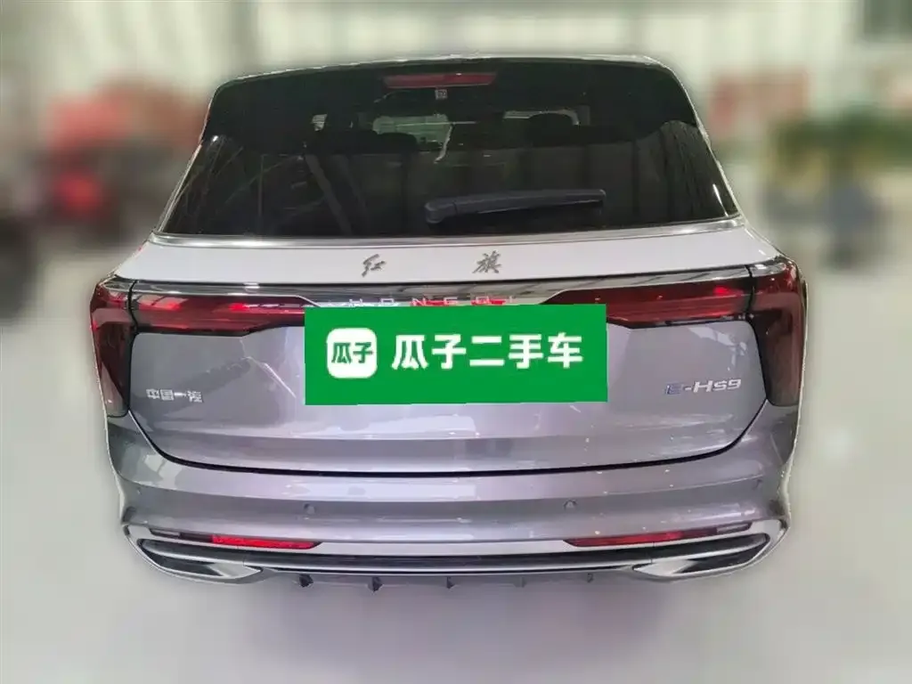 Hongqi E-HS9 — фото 3