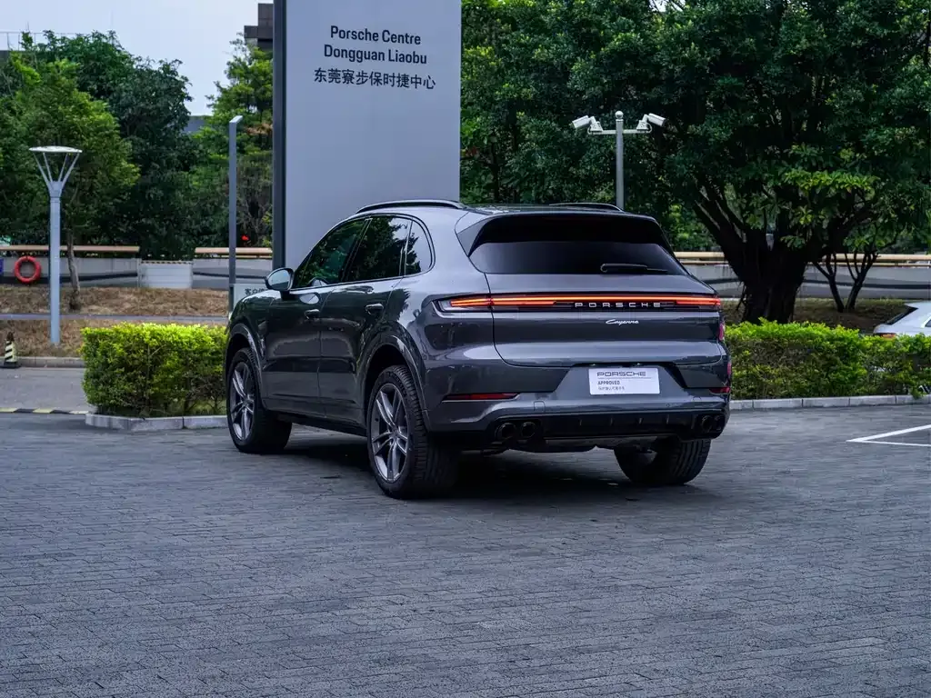 Porsche Cayenne — фото 9