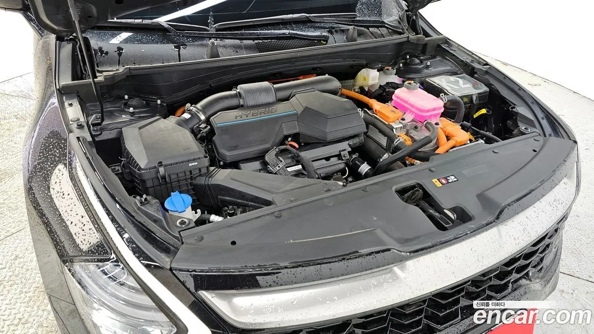 Kia Sportage — фото 5