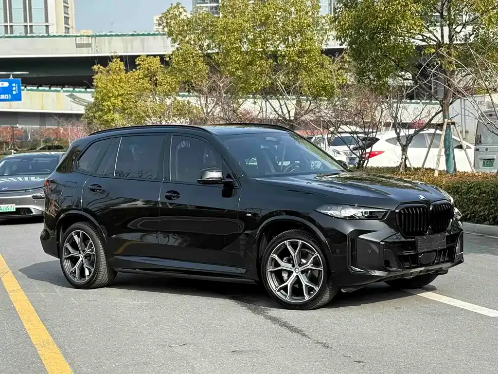 BMW X5 — фото 9