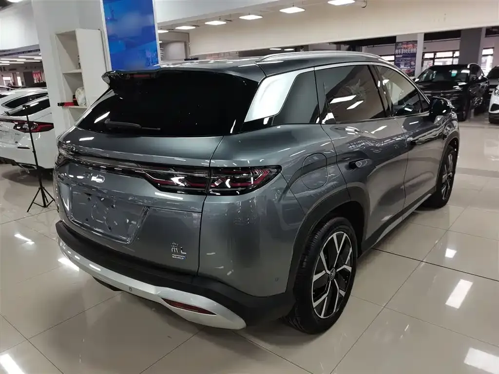 BYD L DM-i — фото 10