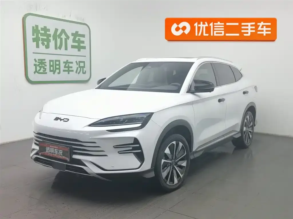 BYD PLUS New Energy — фото 1