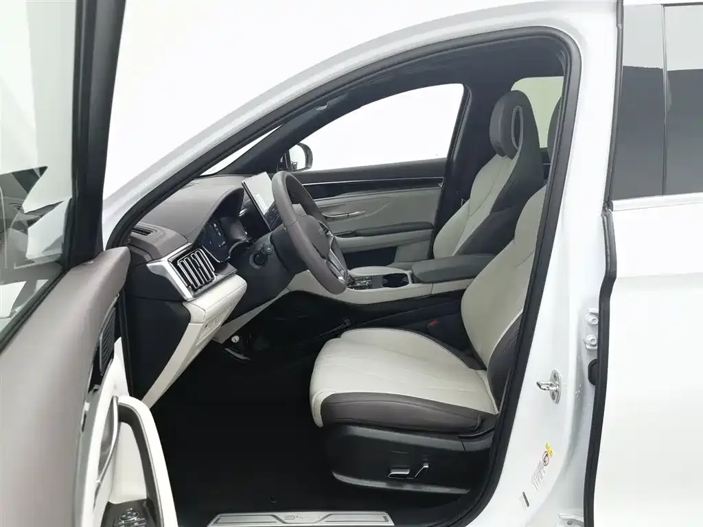 BYD PLUS New Energy — фото 3