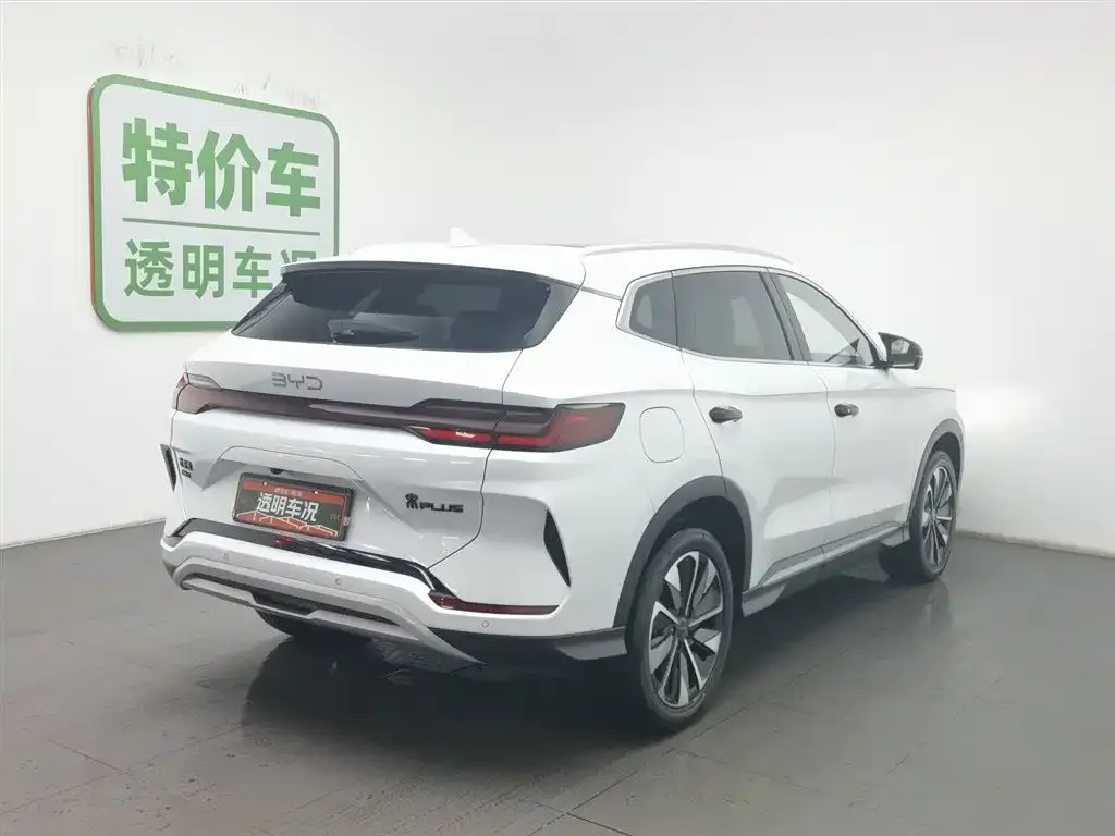 BYD PLUS New Energy — фото 8
