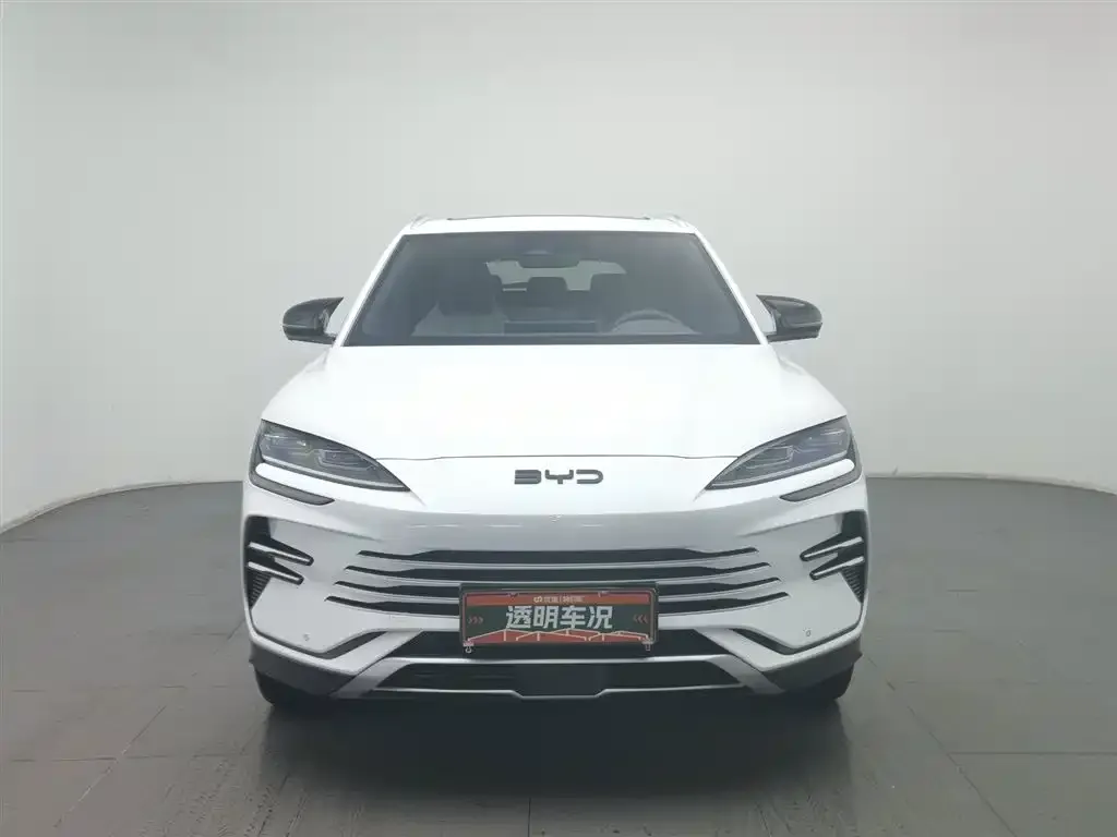 BYD PLUS New Energy — фото 2