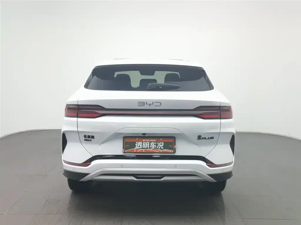 BYD PLUS New Energy — фото 10