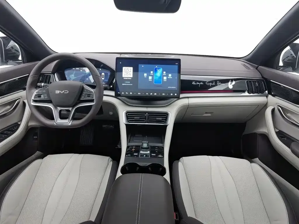 BYD PLUS New Energy — фото 4