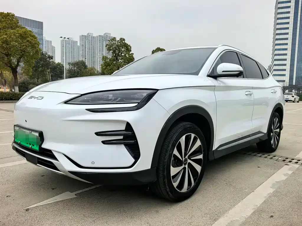 BYD PLUS New Energy — фото 1