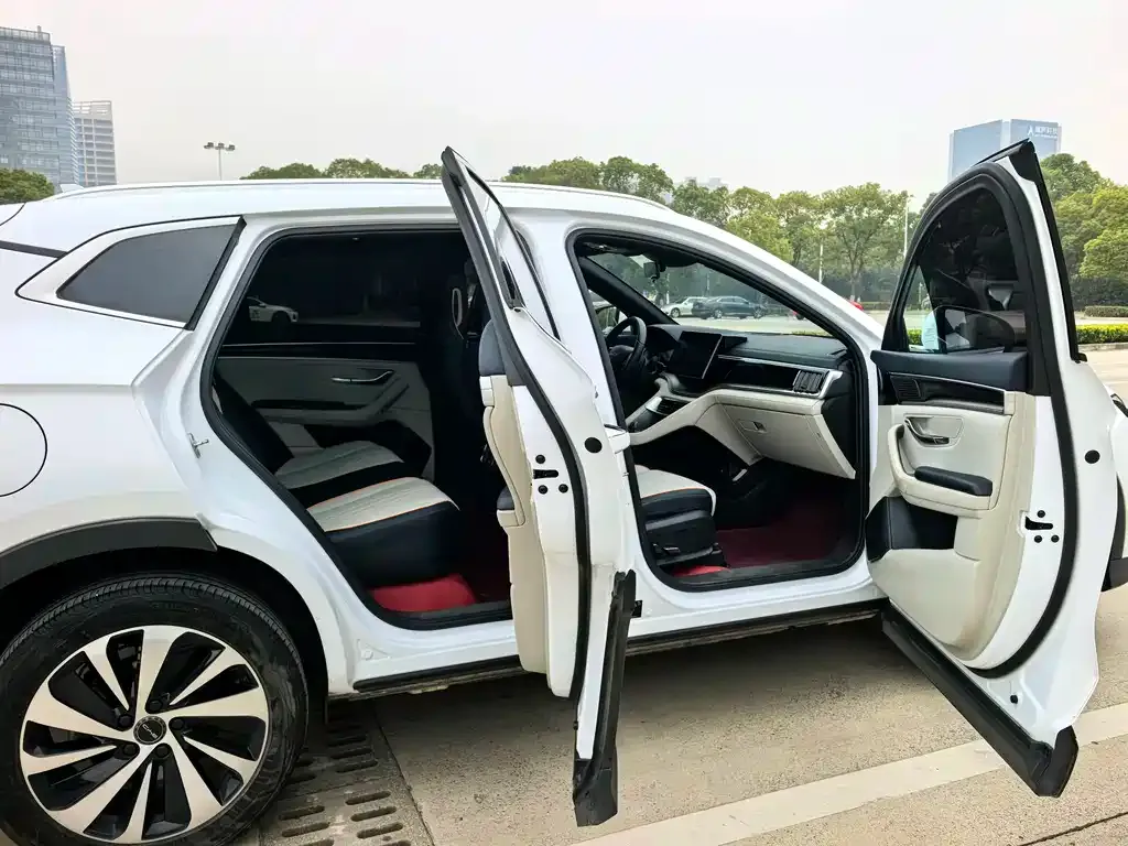 BYD PLUS New Energy — фото 10