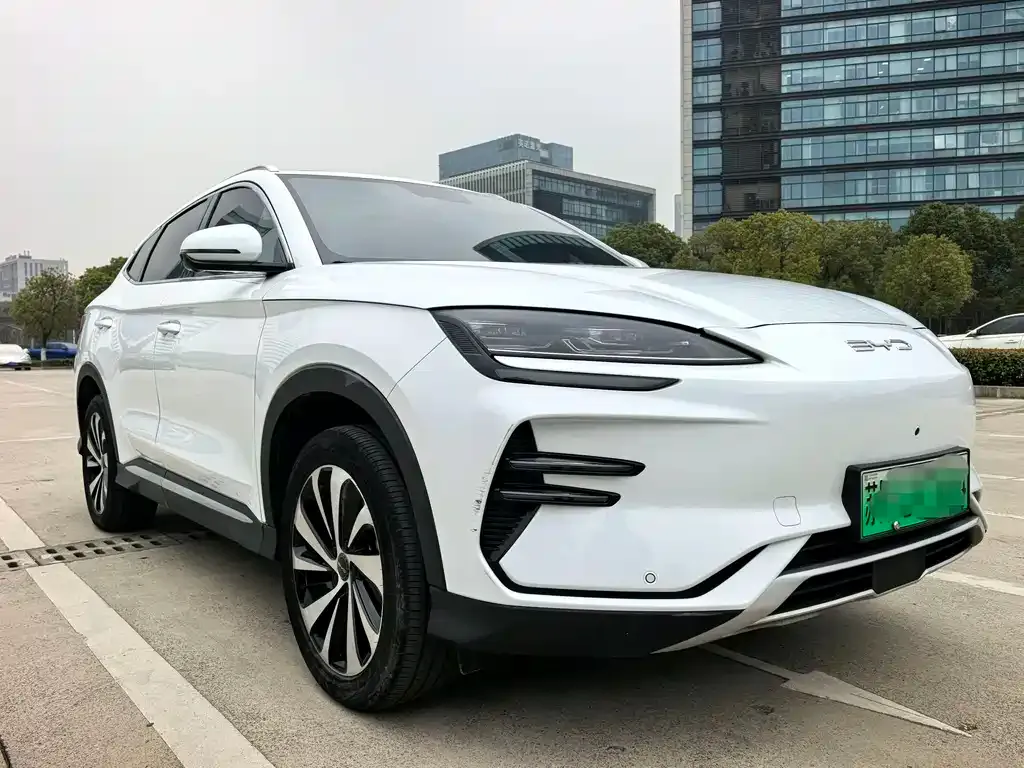 BYD PLUS New Energy — фото 4