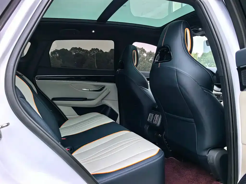 BYD PLUS New Energy — фото 5