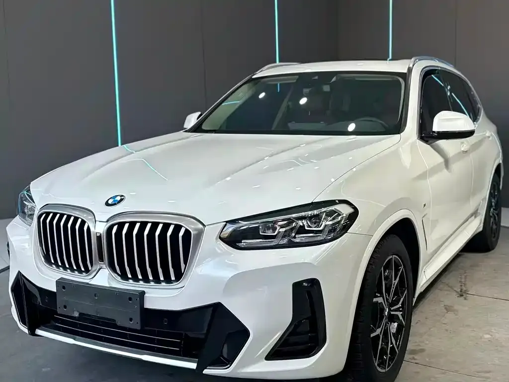 BMW X3 — фото 1