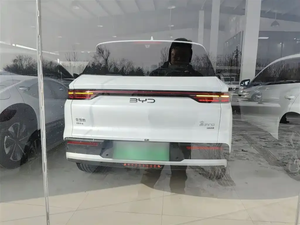 BYD Pro New Energy — фото 6