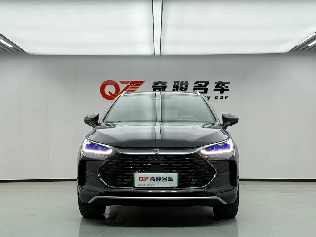 BYD Tang New Energy — фото 2