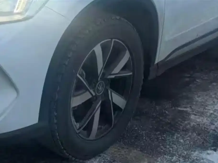BYD Pro New Energy — фото 10