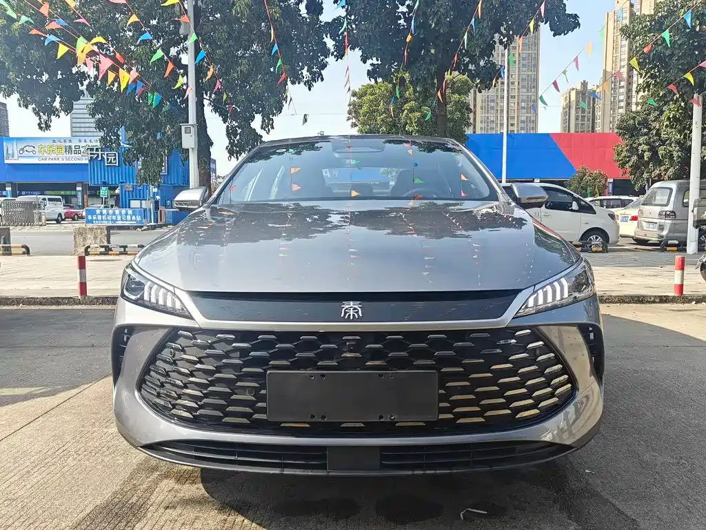 BYD Qin PLUS — фото 2