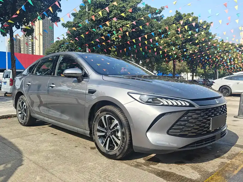 BYD Qin PLUS — фото 4