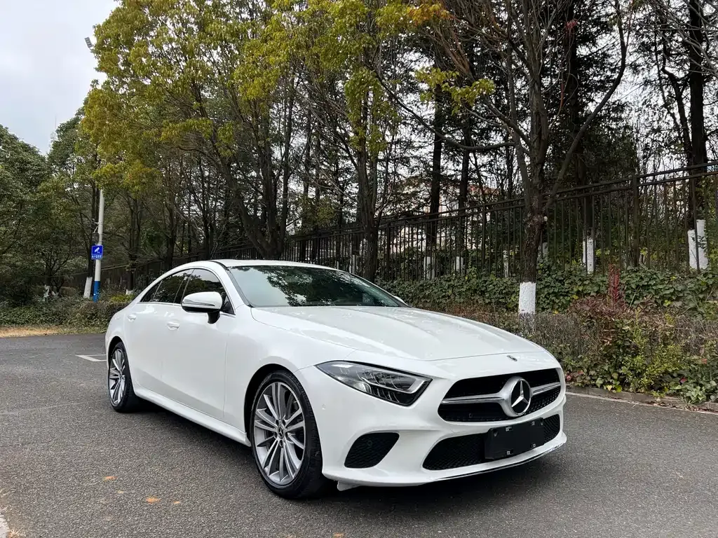 Mercedes-Benz CLS — фото 8