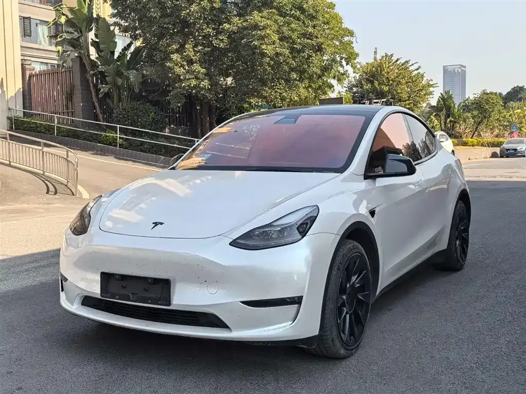 Tesla Model Y — фото 1