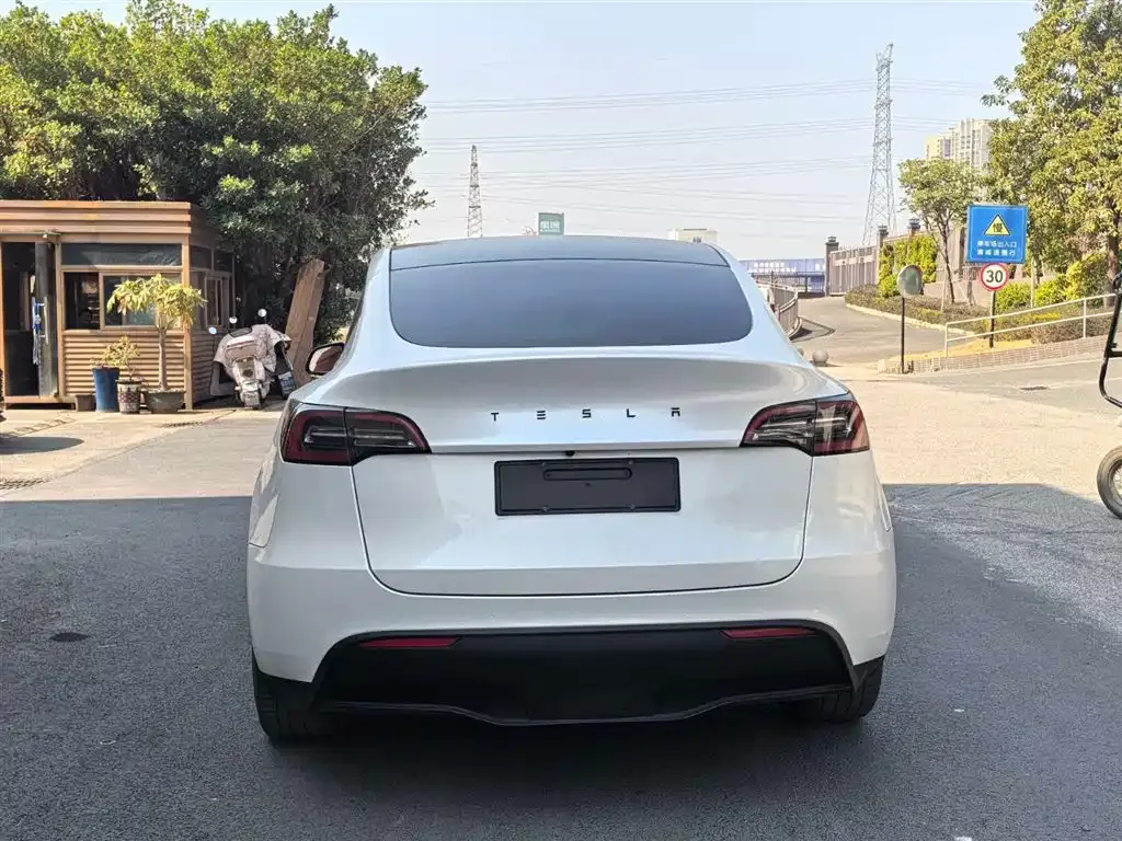 Tesla Model Y — фото 4