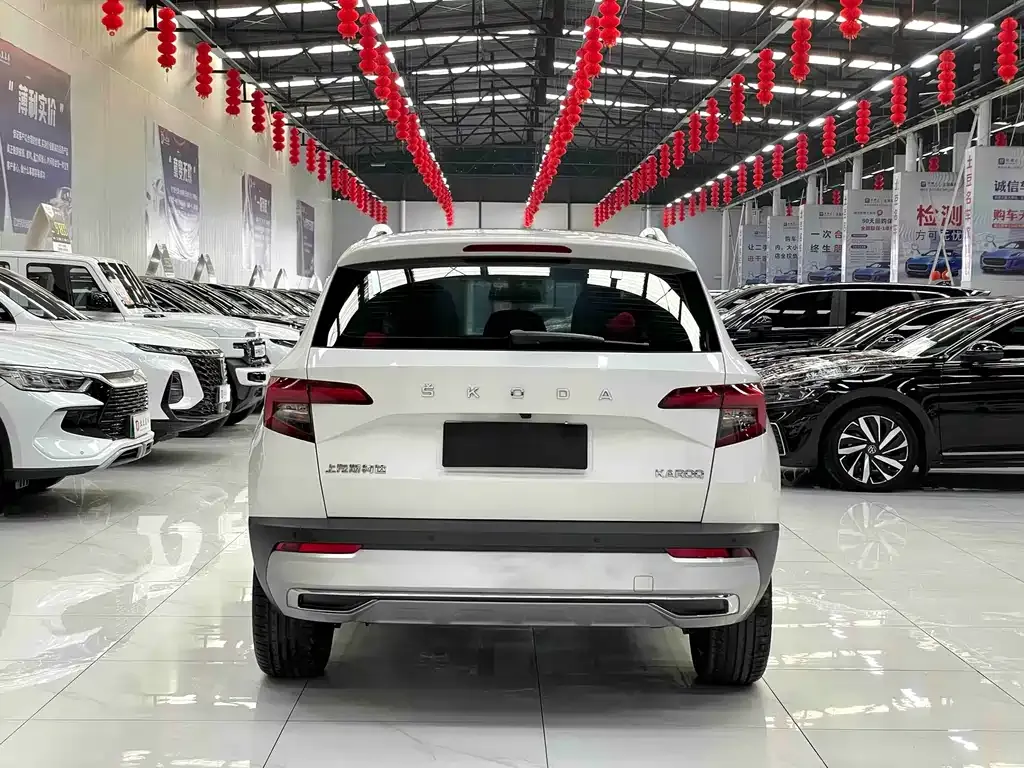 Skoda Karoq — фото 8