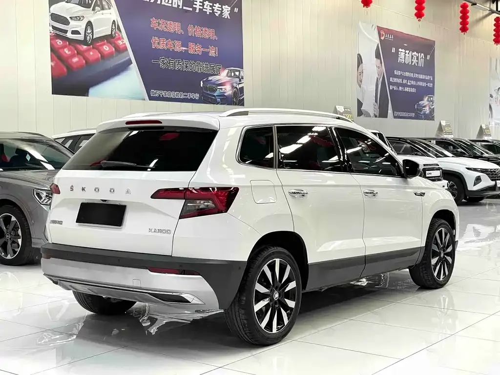 Skoda Karoq — фото 10