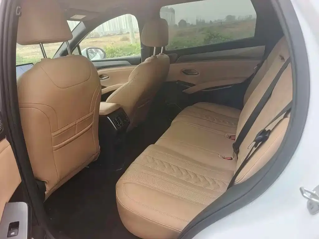 BYD L DM-i — фото 3