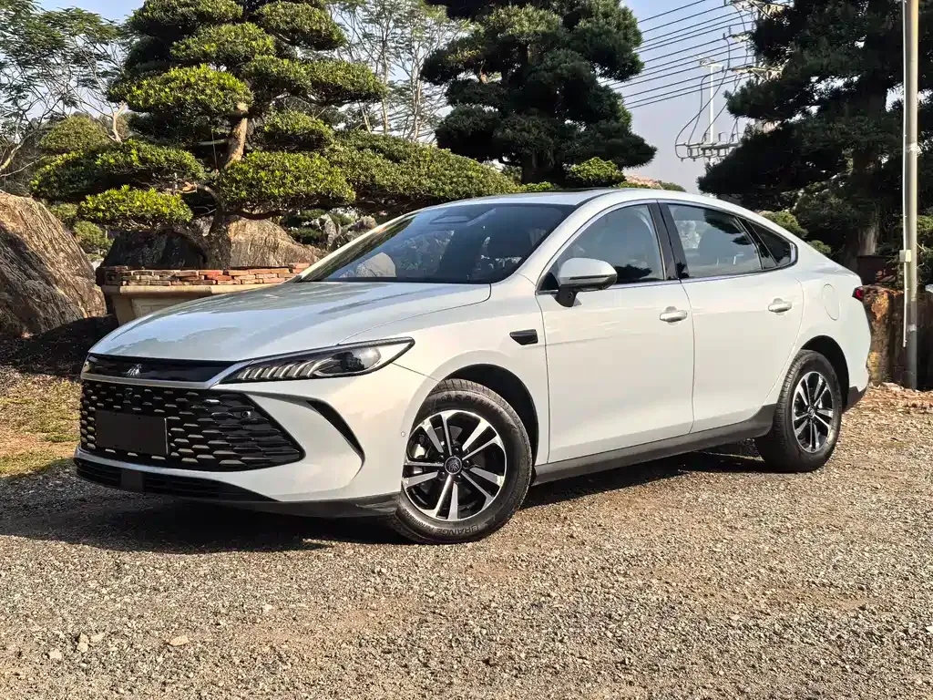 BYD Qin PLUS — фото 1