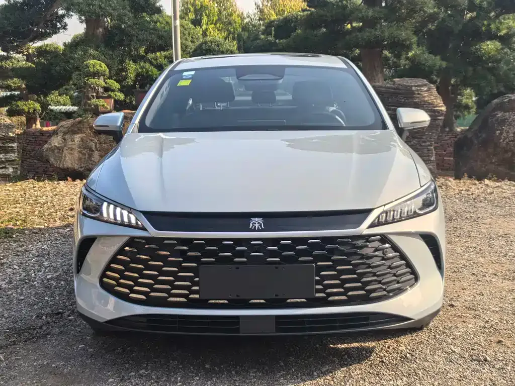 BYD Qin PLUS — фото 2