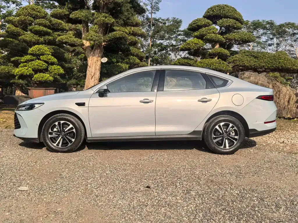 BYD Qin PLUS — фото 6