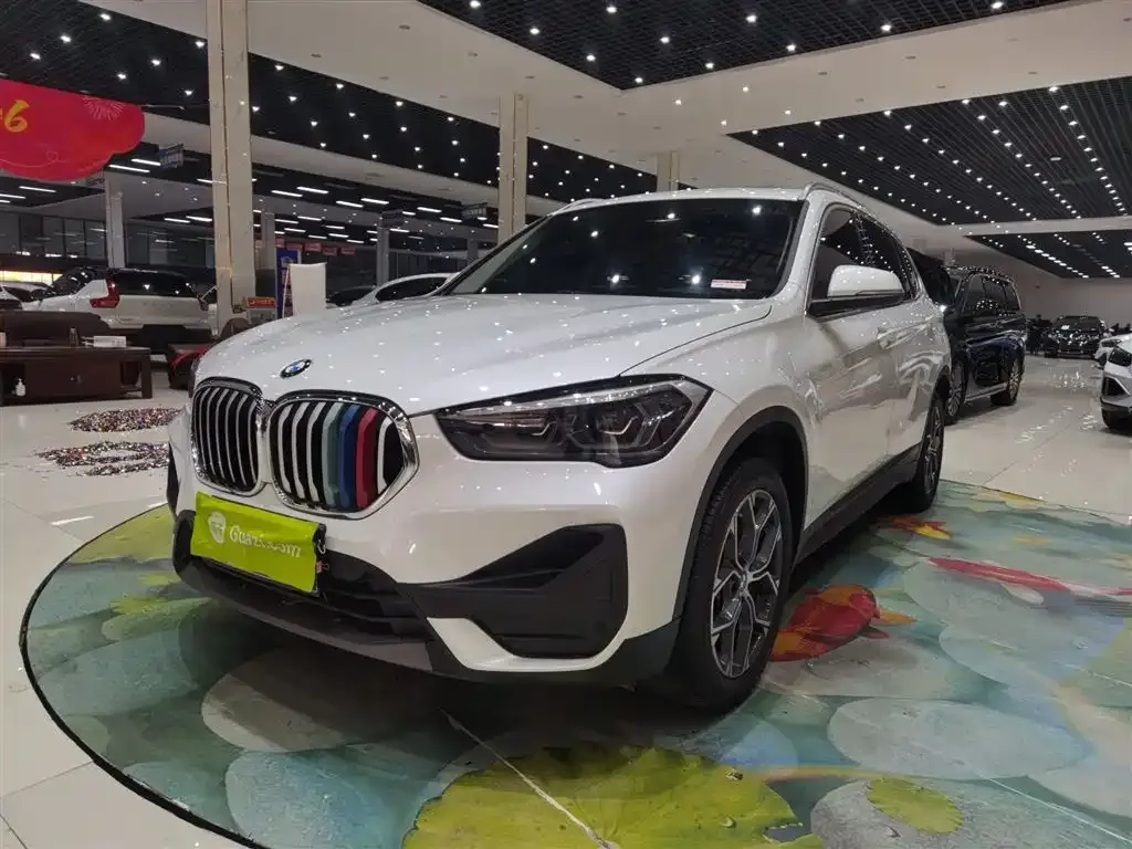 BMW X1 — фото 10