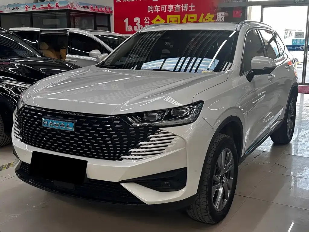 Haval H6 New Energy — фото 1