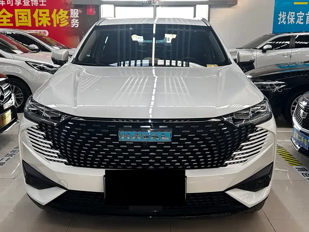Haval H6 New Energy — фото 7