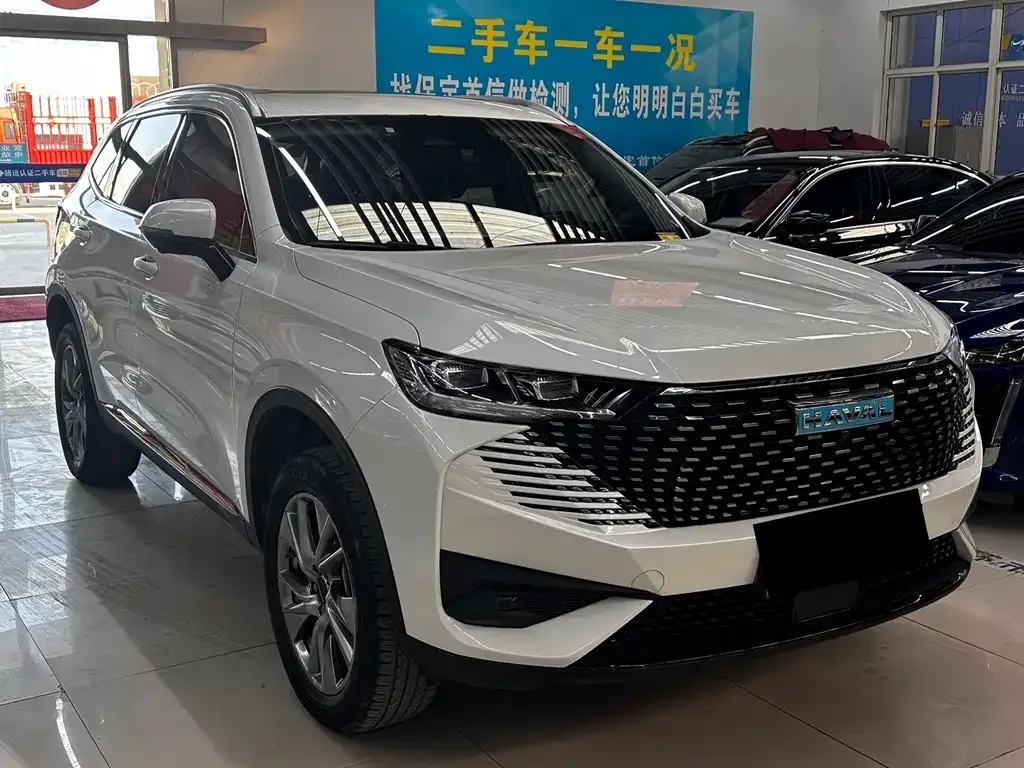 Haval H6 New Energy — фото 3