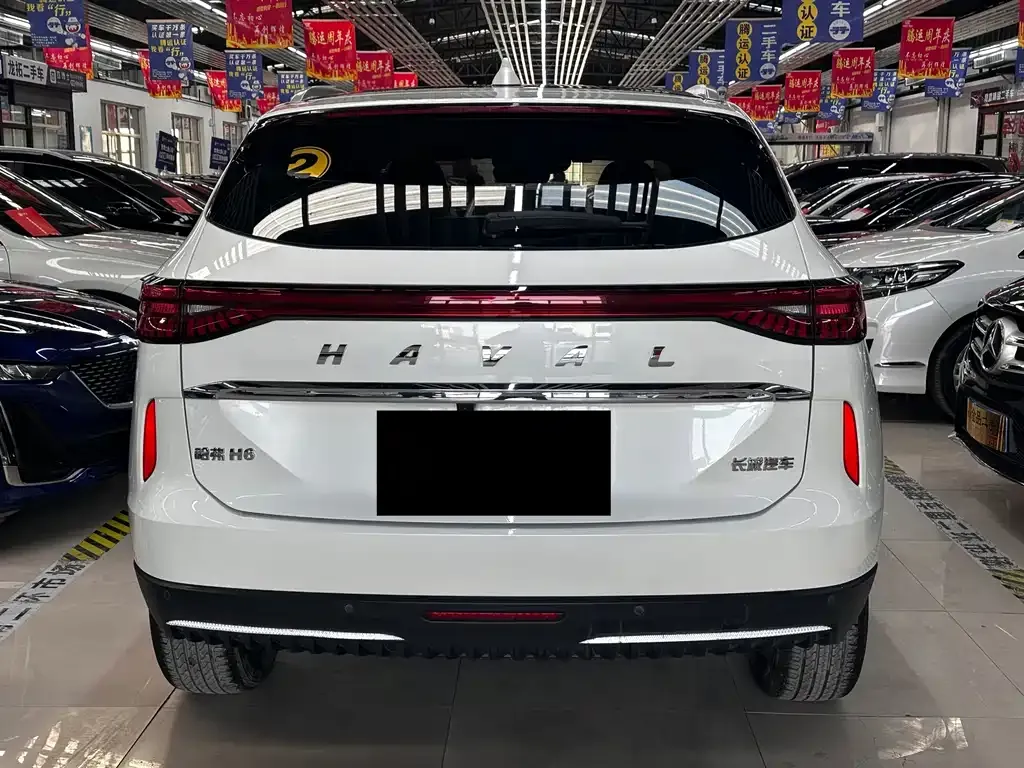 Haval H6 New Energy — фото 4