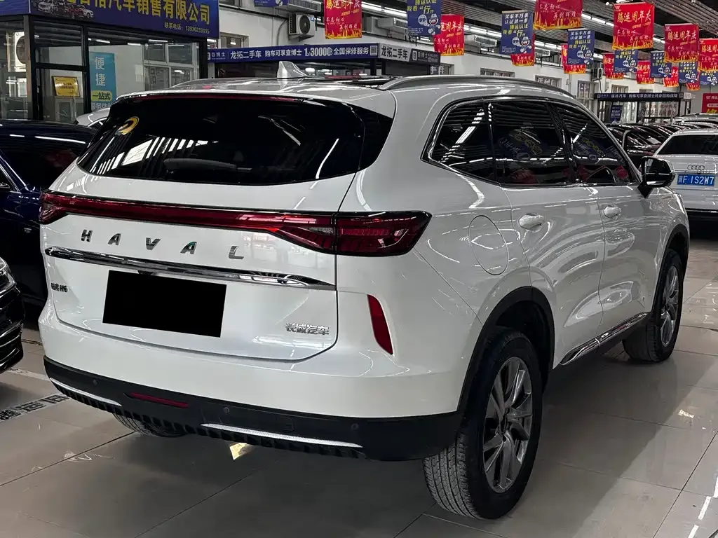 Haval H6 New Energy — фото 8