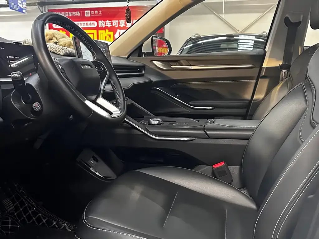 Haval H6 New Energy — фото 6