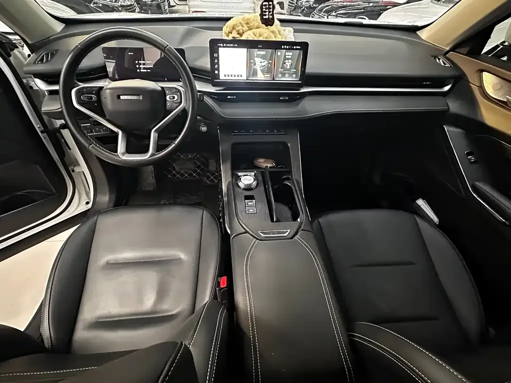 Haval H6 New Energy — фото 10