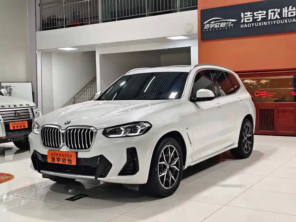 BMW X3 — фото 1